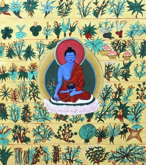 བོད་ལྗོངས་ཀྱིས་བོད་སྨན་གྱི་སྨན་རྒྱུ་སྔོག་འཐུ་དང་སྲུང་སྐྱོབ་ལམ་སྲོལ་འཚོལ་ཞིབ་བྱས་ནས་བཙུགས་པ།