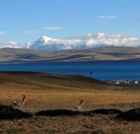 མངའ་རིས་ཡུལ་གྱི་དགོ་བ།