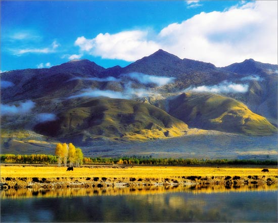 འདབ་པ་རྫོང་དང་དར་མདོ་རྫོང་གཉིས་ཀྲུང་གོའི་ཆེས་མཛེས་སྡུག་ལྡན་པའི་རྫོང་དང་གྲོང་ཁྱེར་ཞེས་པའི་ཨང་རིམ་ཕྲེང་བསྒྲིགས་ཀྱི་དཀར་ཆག་ནང་ཚུད།