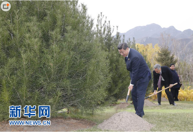APECདཔལ་འབྱོར་མ་ལག་གི་འགོ་ཁྲིད་མི་སྣ་དང་སྐུ་ཚབ་རྣམས་ཀྱིས་APECཡི་ཨེ་ཤེ་ཡ་དང་ཞི་བདེ་རྒྱ་མཚོ་ཆེན་པོའི་རོགས་ཟླའི་ནགས་ཚལ་ཞེས་པའི་སྡོང་འཛུགས་མཛད་སྒོ་སྤེལ།
