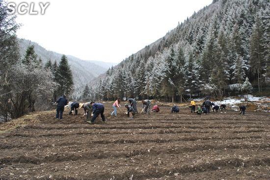 སི་ཁྲོན་ཞིང་ཆེན་རྔ་བ་ཁུལ་གྱིས་དེང་རབས་ཀྱི་ནགས་ལས་ཐོན་ལས་འཕེལ་རྒྱས་གཏོང་བར་སྐུལ་འདེད་གཏིང་ཟབ་གཏོང་བཞིན་ཡོད།
