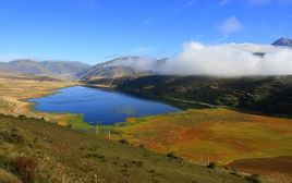 2014ལོའི་རྔ་བ་ཁུལ་གྱི་ནོར་སྲིད་འགྲོ་སོང་གི་གཞི་རྒྱ་མུ་མཐུད་ནས་ཇེ་ཆེར་འགྲོ་བཞིན་ཡོད།