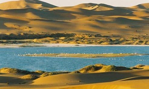 ནང་སོག་གི་བྱེ་ཐང་ཁྲོད་ནས་སྤུས་ལེགས་ཀྱི་གཏེར་ཆུ་གསར་རྙེད་བྱུང་།