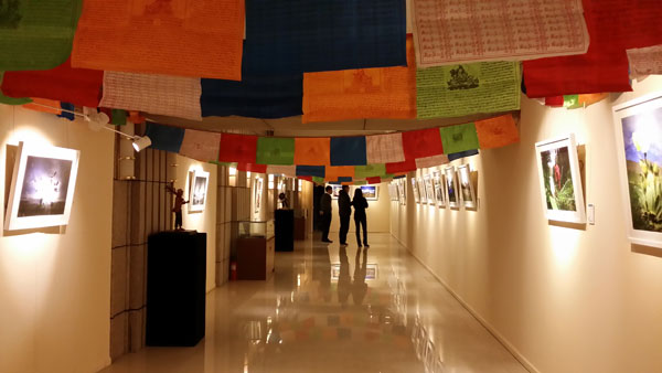རྨ་འབྲི་རྫ་གསུམ་འབྱུང་ཁུངས་ཀྱི་སྐྱེ་ཁམས་ཁོར་ཡུག་སྲུང་སྐྱོང་སྐོར་གྱི་སྤྱི་ཕན་པར་རིས་འགྲེམས་སྟོན་བྱས།