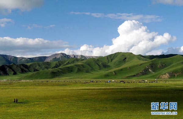 སི་ཁྲོན་དང་ཀན་སུའུ། མཚོ་སྔོན་བཅས་འབྲེལ་མཚམས་དེ་གཙང་གསུམ་སྲུང་སྐྱོང་ཁུལ་དུ་བསྡུ་དགོས་པའི་གྲོས་གཞི་བཏོན།