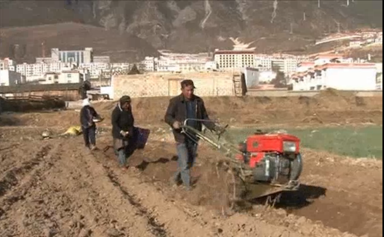 ཕྱག་ཕྲེང་དུ་སོ་ནམ་ལས་ཀར་བྲེལ་བཞིན་ཡོད།