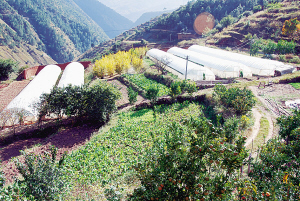 ཁྱད་ལྡན་ཐོན་ལས་ཀྱིས་མུ་ལི་རྫོང་གི་ཞིང་ལས་འཕེལ་རྒྱས་ཀྱི་ལེའུ་གསར་པ་བྲིས།