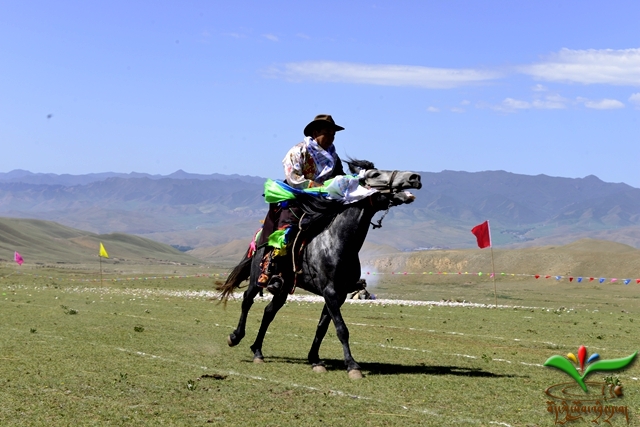 དཔའ་རིས་རྡོ་ལུང་སངས་རྒྱས་སྨན་བླའི་རིག་གནས་སྒྱུ་རྩལ་དུས་ཆེན་སྐབས་དྲུག་པ་སྤེལ།