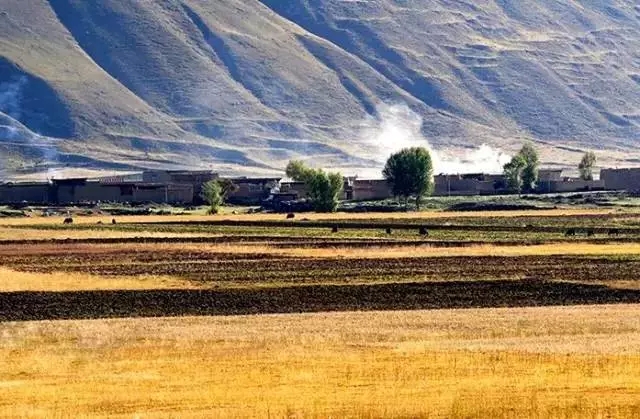 གཟབ་རྒྱས་ངང་དམར་དམག་རྒྱང་སྐྱོད་དཀར་མཛེས་བརྒྱུད་ནས་ལོ་འཁོར་80ལོན་པར་དྲན་གསོ་ཞུ།