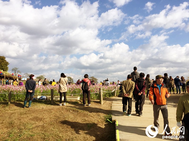 སྟོན་དུས་ཀྱི་ཧྲུའུ་ཨར། འཆར་ཡན་གྱི་སྨུག་རྩྭ།