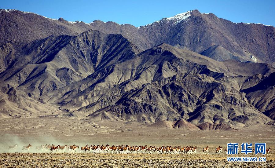 ཨར་ཅིན་རི་བོའི་རྒྱལ་ཁབ་རིམ་པའི་རང་བྱུང་སྲུང་སྐྱོབ་ཁུལ་དུ་བསྐྱོད་པ།