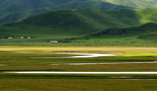 རྔ་བ་ཁུལ་གྱི་བོད་ཡིག་འཕྲིན་ཕྲན་ཐོག་མ་རྔ་བའི་རྔ་སྒྲ་ཞེས་པ་དེ་དངོས་སུ་དྲ་ཞུགས་བྱས།