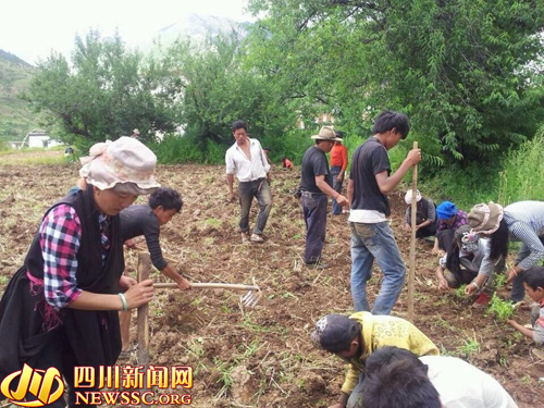 འབའ་ཐང་རྫོང་གིས་སློབ་སྦྱོང་བྱེད་སྟངས་གསར་གཏོད་བྱས་ཏེ་གཞུང་ལུགས་ཀྱི་ཆུ་ཚད་མཐོ་རུ་བཏང་བ།