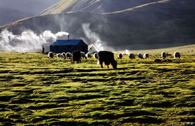 སེར་ཤུལ་རྫོང་གིས་གནད་སྨིན་དབུལ་སྐྱོར་ཤེས་བྱའི་སྐོར་གྱི་ཡིག་རྒྱུགས་བླངས།