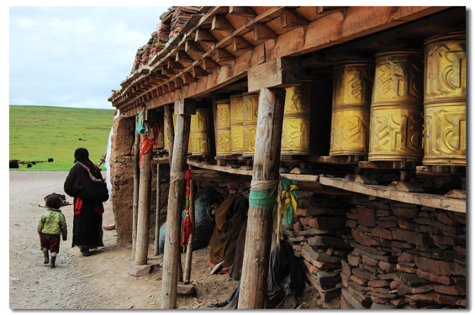 སེར་ཤུལ་རྫོང་གིས་ལས་བཟོ་པར་ཐུམ་འབུའི་ནད་ཀྱི་ཆེད་དོན་སྒྲོག་འགྲེལ་གྱི་གསོ་སྦྱོང་ཚོགས་འདུ་འཚོགས།