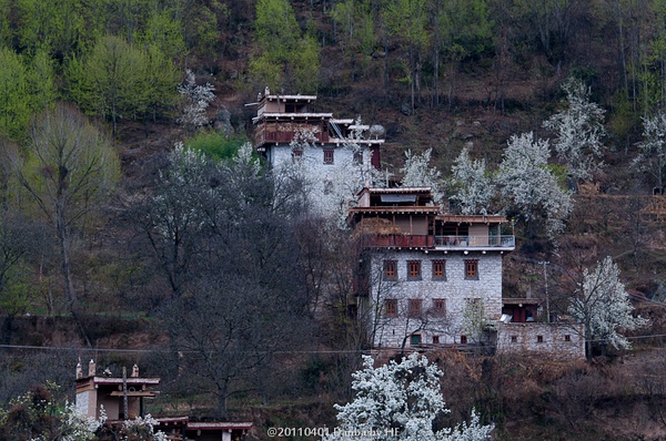 རོང་བྲག་རྫོང་གིས་འབྱོར་ཕྱུག་ཤེས་དཔལ་གྱི་སྲོལ་གསར་བཙུགས་ཤིང་ཞི་མཐུན་མཛེས་སྡུག་ལྡན་པའི་གྲོང་ཚོ་གསར་པ་བསྐྲུན།