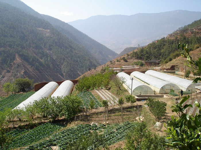 མུ་ལི་རྫོང་གིས་སྔོ་ཚལ་རྟེན་གཞི་མུའུ་བརྒྱ་བསྐྲུན་པའི་འཆར་གཞི་བཀོད།