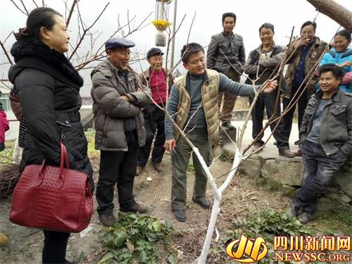 ལྕགས་ཟམ་རྫོང་གིས་ཤིང་ཏོག་འདེབས་འཛུགས་དང་དོ་དམ་སྐོར་གྱི་གསོ་སྐྱོང་བྱེད་སྒོ་སྤེལ།