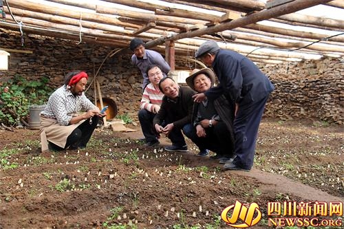 ཁྲིམས་འཛམ་གྲོང་སྡེའི་དབུལ་སྐྱོར།