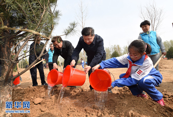 ཞི་ཅིན་ཕིང་རྒྱལ་སའི་འོས་འགན་སྡོང་འཛུགས་བྱེད་སྒོར་ཞུགས་པ།