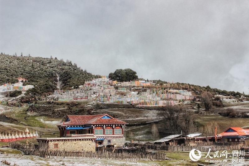 དཔྱིད་ཟླ་བཞི་བའི་དཀར་མཛེས།