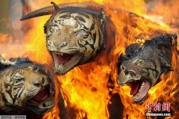 ཧིན་ཉི་རུ་སྲོག་ཆགས་དཀོན་པའི་ཐོན་རྫས་མེར་བསྲེགས།