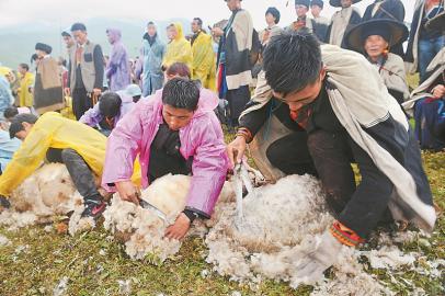 ལིའུ་ཅ་ཀའོ་ཡིས་ལའང་ཧྲན་ཁུལ་ཞི་ཏི་རྫོང་གིས་དབུལ་བྲལ་འགག་སྒྲོལ་ལས་ཀར་དངོས་སྲུང་ཞིབ་འཇུག་དང་ལྟ་སྐུལ་མཛུབ་ཁྲིད་གནང་།