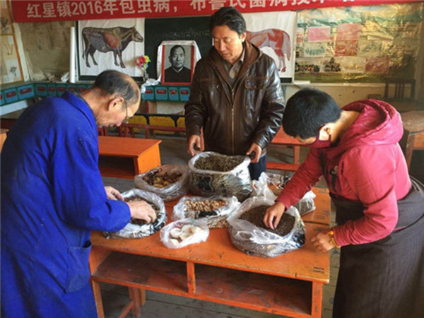 ཕྱུགས་སྨན་གསར་པ་རོ་བདུན་བཤལ་གཅོད་ཐང་སྨན་མཛོད་དགེ་ནས་གསར་བཟོ་ལེགས་འགྲུབ་བྱུང་བ།