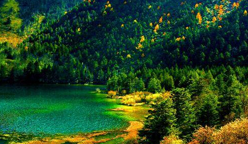 ད་ལོར་རྔ་བ་ཁུལ་གྱི་གནས་སྐོར་ལས་རིགས་ཀྱི་ཡོང་འབབ་ལ་འཕར་སྣོན་ཆེན་པོ་བྱུང་།