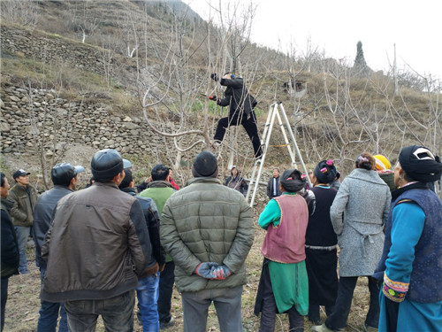 ཞིང་ལས་ལག་རྩལ་པ་དངོས་སུ་ཁྱིམ་ཚང་དུ་ཕྱིན་ཏེ་ཞིང་བ་རྣམས་ལ་མཛུབ་སྟོན་བྱས།