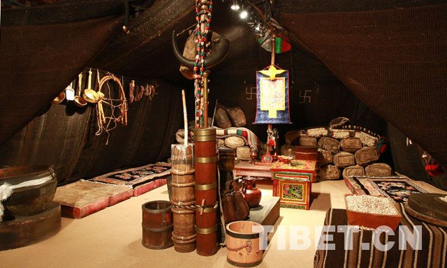 ནོར་གནག་རིག་གནས་ཀྱིས་ལྟད་མོ་མང་པོའི་ཡིད་སེམས་འགུག
