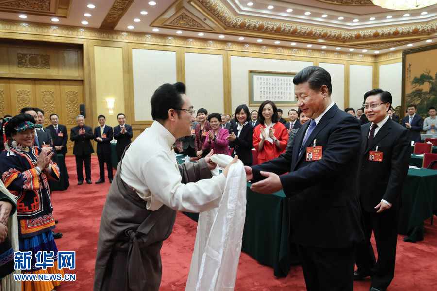 ཞི་ཅིན་ཕིང་སི་ཁྲོན་འཐུས་མི་ཚོགས་པའི་གྲོས་ཞིབ་ཚོགས་འདུ་ལ་ཞུགས་པ།