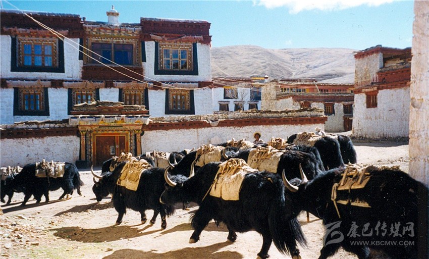 ལི་ཐང་རྫོང་གིས་རྣམ་པ་གསར་པའི་ཕྱུགས་ལས་ཐོན་སྐྱེད་སྤེལ་ཏེ་དབུལ་སྒྲོལ་ལ་རོགས་འདེགས་བྱས། 