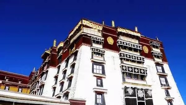 བོད་ལྗོངས་སུ་གནའ་བོའི་རྗེས་ཤུལ20ལྷག་གསར་དུ་རྙེད་པ།