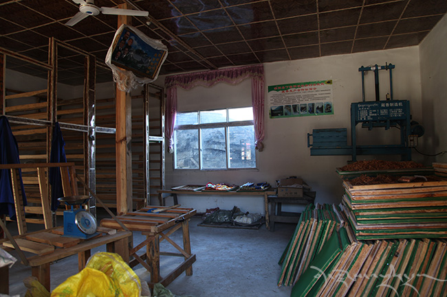 བོད་སྤོས་ལག་རྩལ་ལ་བརྟེན་ནས་ཕྱུག་འགྱུར་ལམ་བུར་ཞུགས་པ།