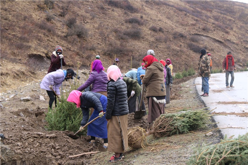དཀར་མཛེས་རྫོང་གི་དམངས་ཡོངས་སྡོང་འཛུགས་ནགས་བསྐྲུན་གྱི་བྱེད་སྒོར་ཞུགས་པ། 