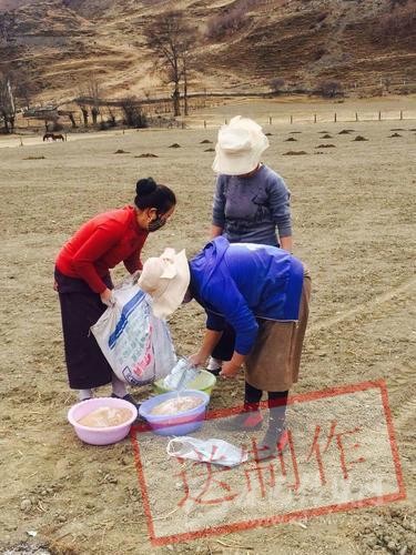 སྐྱ་གད་ཤང་གིས་དཔྱིད་རྨོད་ཐོན་སྐྱེད་བྱེད་འགོ་ཚུགས།