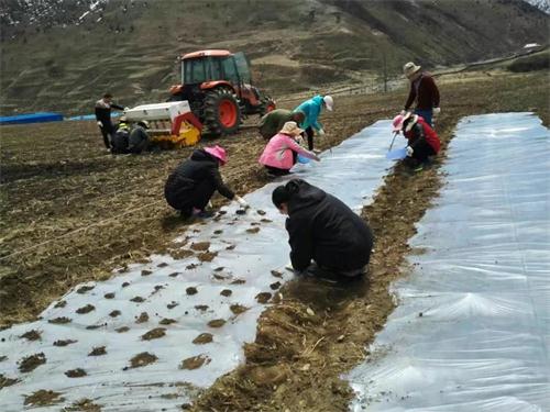 ཉག་ཆུ་རྫོང་གིས་སྣ་མང་ཅན་གྱི་འདེབས་འཛུགས་བྱེད་སྟངས་ཁྱབ་གདལ་དུ་བཏང་།