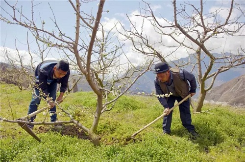 དབང་སྐྱོན་ཤོར་ཡང་བློ་སྟོབས་རྒྱས་པའི་ཕྱུག་སྒྱུར་བ་ཀྲང་ཧའོ་ཅེ།