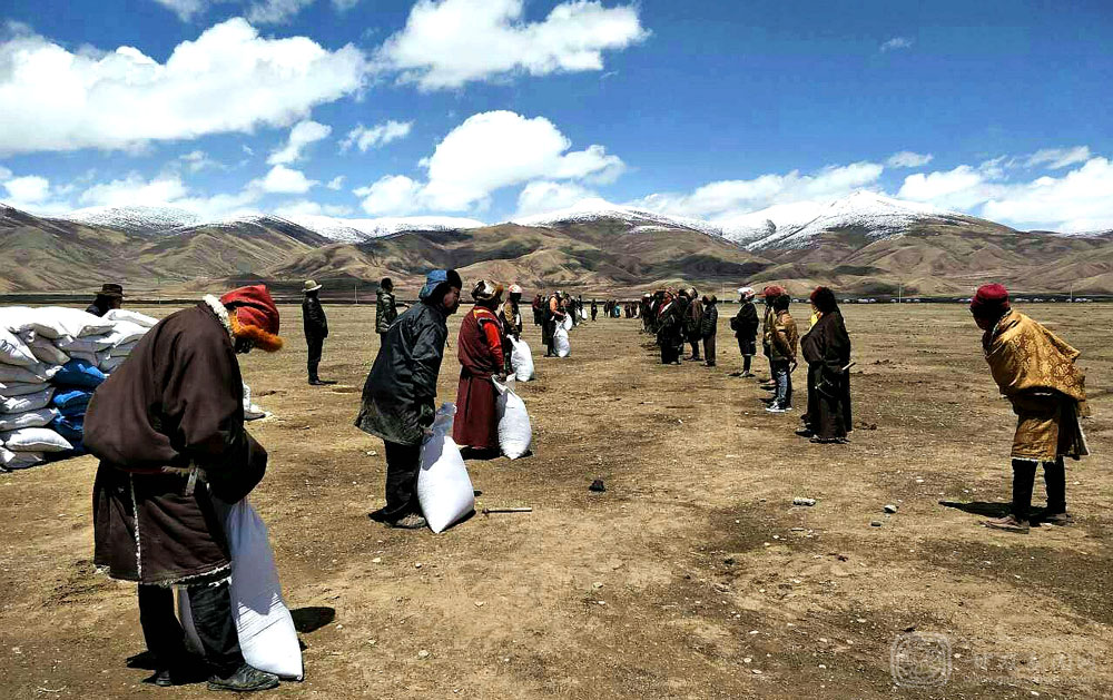 སེར་ཤུལ་རྫོང་གིས་རྩྭ་ཐང་གི་སྐྱེས་ཁམས་ཁོར་ཡུག་ལེགས་བཅོས་བྱས་པ།