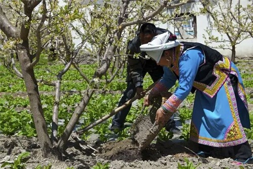 ས་ཞིང་སྤྱོད་མཁས་ཞེས་པ་ཕྱུག་སྒྱུར་མན་ངག་ཡིན།