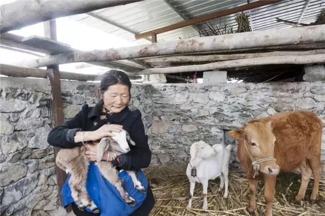 སྙིང་སྟོབས་ཞུམ་པ་མེད་ན་འབྱོར་ཕྱུག་འོད་སྣེར་འཇུ་བ་སླ།