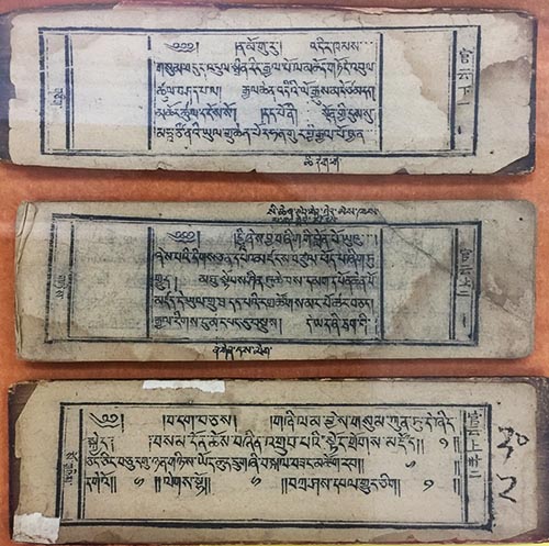 པེ་ཅིང་པར་མའི་བོད་སོག་གནའ་དཔེ་འགྲེམ་སྟོན་མི་རིགས་རིག་གནས་ཕོ་བྲང་ཏུ་སྤེལ། 