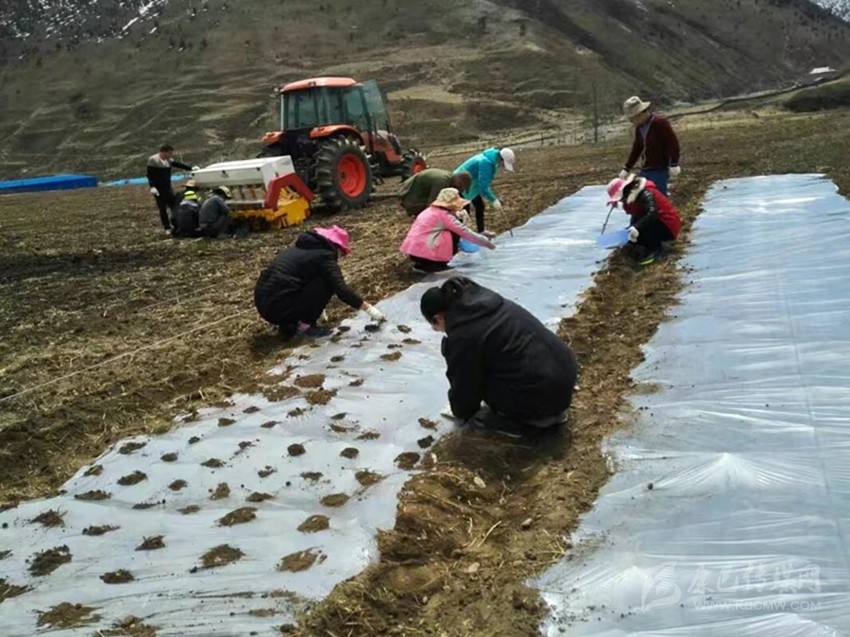 ཉག་ཆུ་རྫོང་གིས་པད་ཁ་འདེབས་འཛུགས་ཀྱི་ལག་རྩལ་གསོ་སྐྱོང་བྱས། 