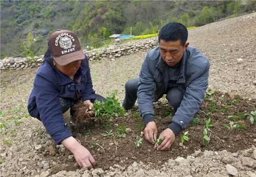 ཕྱུག་སྒྱུར་ལམ་དུ་བསྐྱོད་པའི་བུ་ཕྲུག་འོན་ལྐུགས་གསུམ་གྱི་ཨ་ཕ།