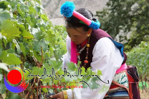 སེམས་ཀྱི་ཉི་ཟླར་གསར་དུ་བྱུང་བའི་ཆང་ལས།