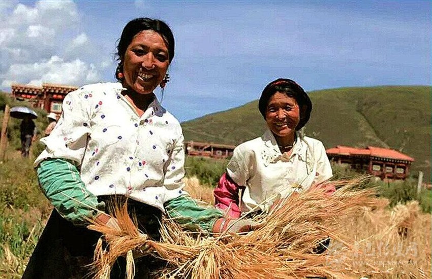 དབུལ་སེལ་གྱི་ལམ་དུ་བསྐྱོད་པའི་ཧ་ཁྱུང་སྡེ་པ། 
