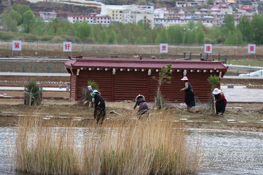 རྟའུ་རྫོང་གི་ལྗང་མདོག་སྐྱེ་ཁམས་ལྟ་སྐོར་གྱི་ཐོན་ལས་ཁུལ་འཛུགས་བསྐྲུན་བྱས་པ།