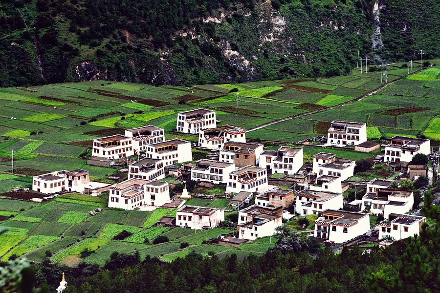  ཕྱག་ཕྲེང་རྫོང་གིས་གྲོང་སྡེའི་རིག་གནས་དམངས་ཕན་གྱི་ལས་ཀར་སྐུལ་འདེད་བཏང་བ། 