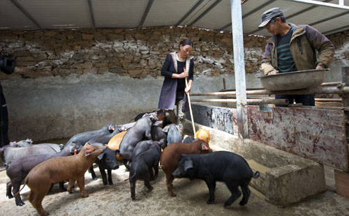 བསོད་ནམས་ཚེ་རིང་གི་དབུལ་སེལ་གཏམ་རྒྱུད།